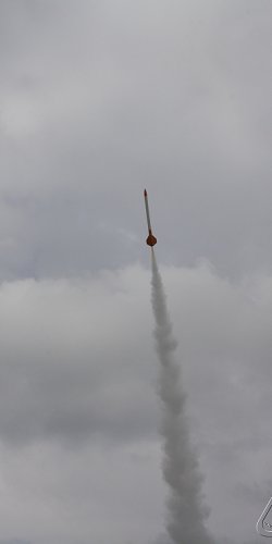 2013 Svojek Mirek Topinka